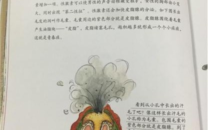 女孩你该知道的事_女孩你该知道的事有哪些