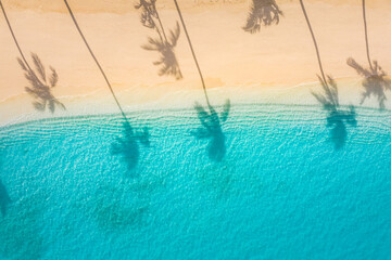 我来教大家“德扑之星能透视吗”必胜开挂神器